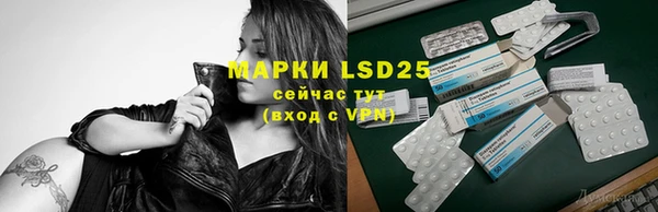 спайс Баксан