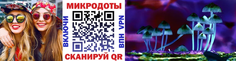как найти закладки Чернушка Псилоцибиновые грибы MAGIC MUSHROOMS